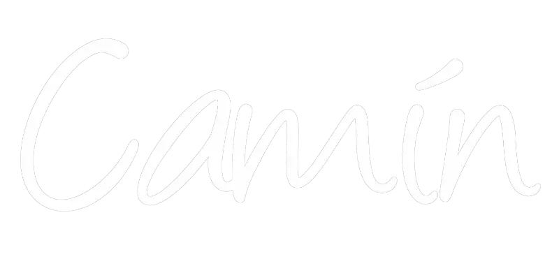 Logo Camín, programa de TPA